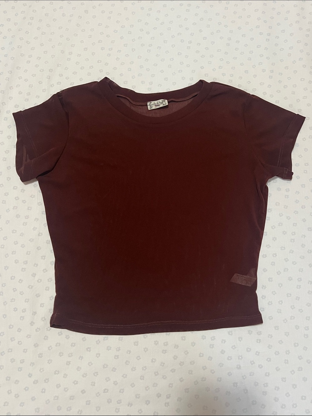 Free People Intimately Free Brown Mesh Crop Top NWOT